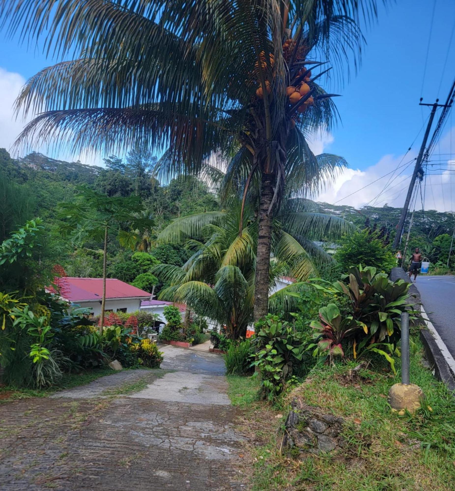 Papayas Self Catering Room Victoria Exterior foto